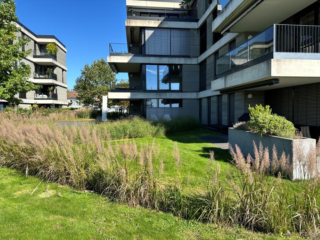 Terrasse und Garten