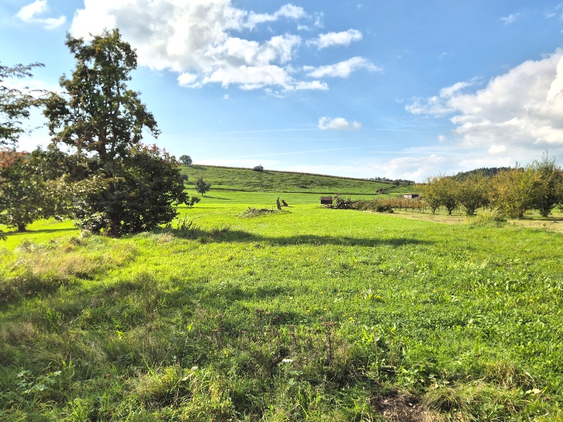 Blick von der Terrasse