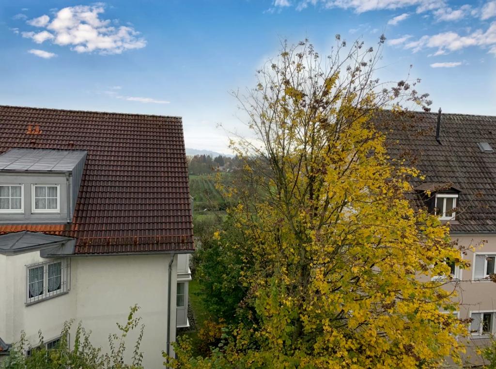 Blick 